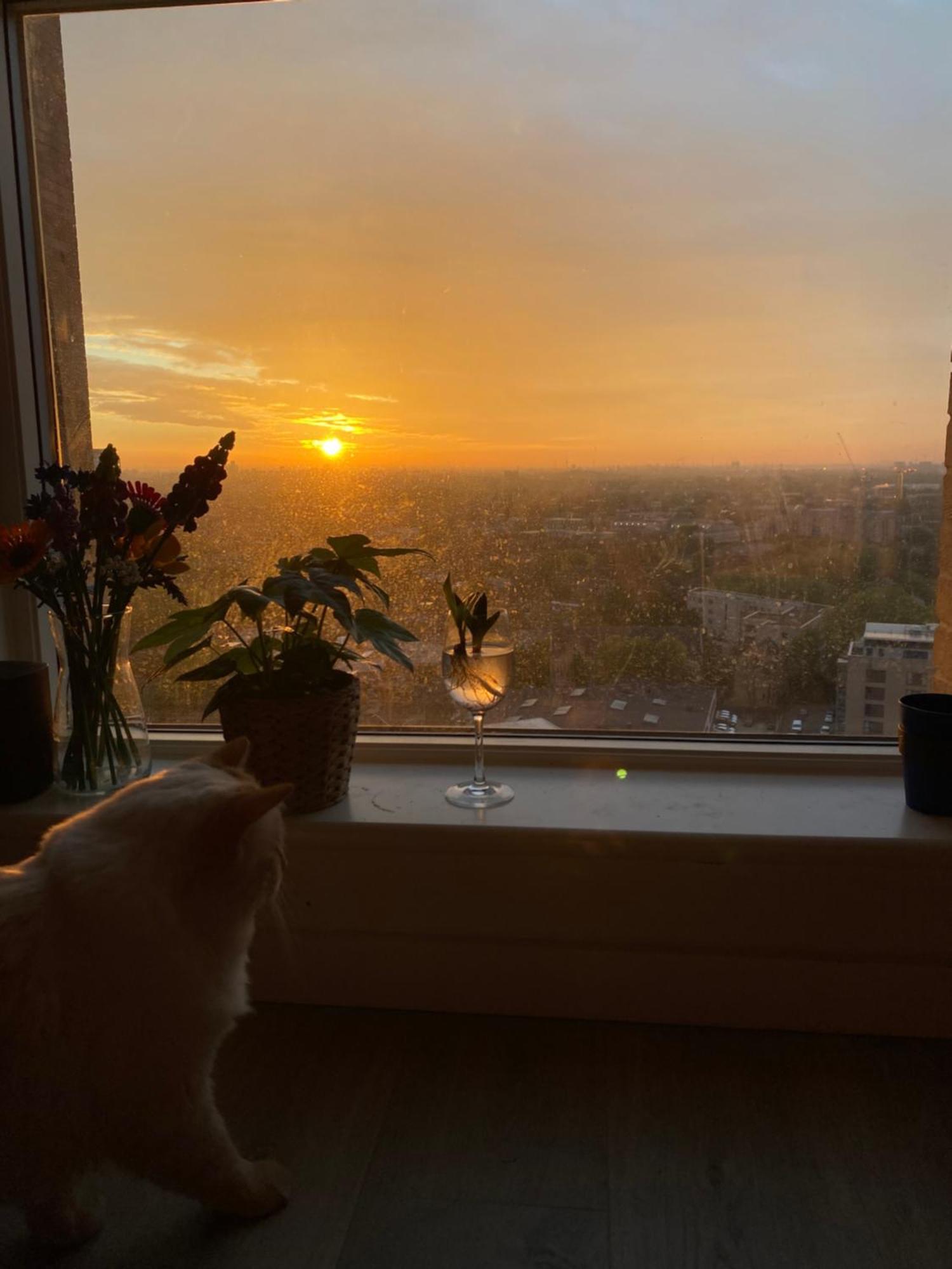 Appartamento Cozy Flat With Stunning Views Londra Esterno foto
